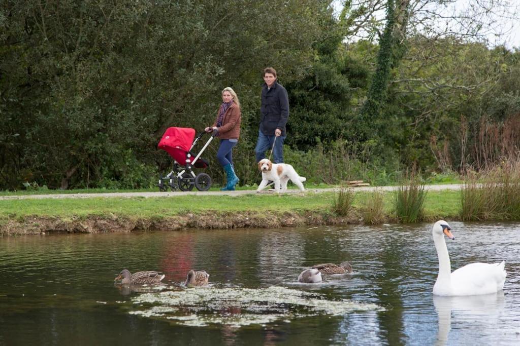 Skylark Sleeps 8 Private Hot Tub & Dogs Welcome Nr Padstow, Resort Pool Bar & Watersports St Columb Major Esterno foto